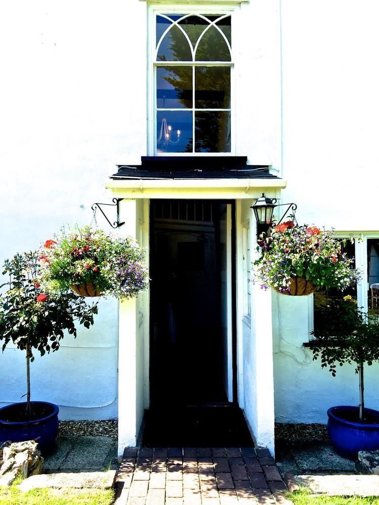 The White Cottage Colyton Eksteriør billede